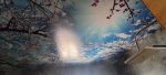 خرید زمین ۲۸۰ متر منطقه ولی اباد - تصویر 29