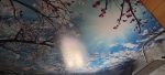 خرید زمین ۲۸۰ متر منطقه ولی اباد - تصویر 24